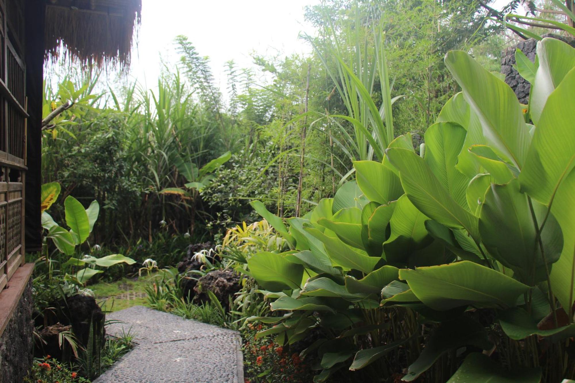 Geopark Village Kintamani Exterior foto